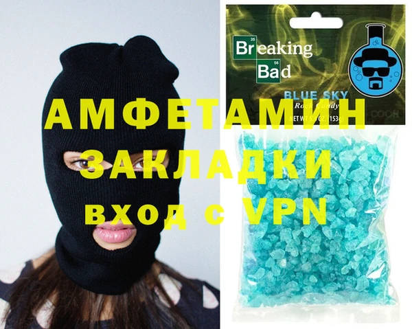 индика Инсар