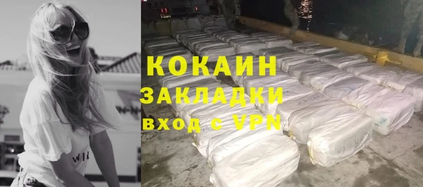 индика Инсар