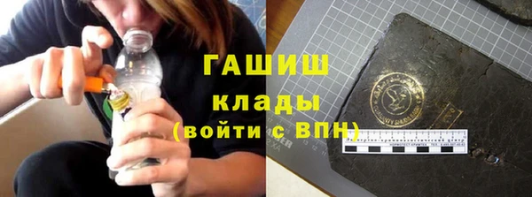 индика Инсар
