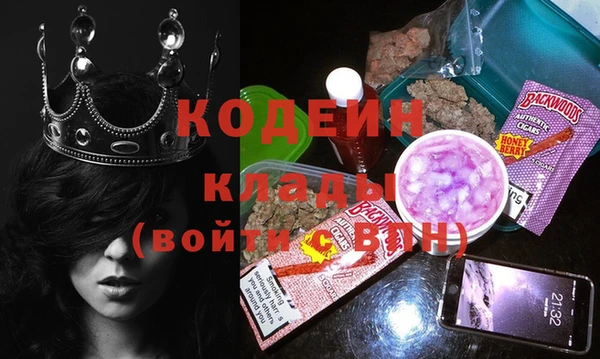 индика Инсар