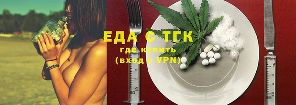 индика Инсар