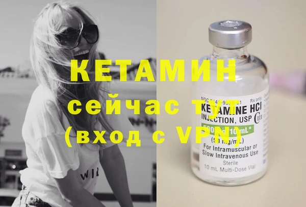 индика Инсар