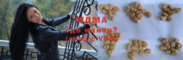 индика Инсар