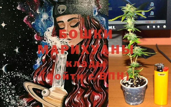 apvp Иннополис