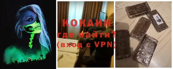 индика Инсар