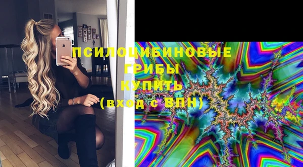 apvp Иннополис