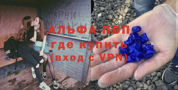 индика Инсар