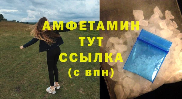 индика Инсар