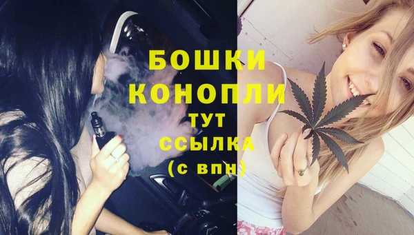 apvp Иннополис