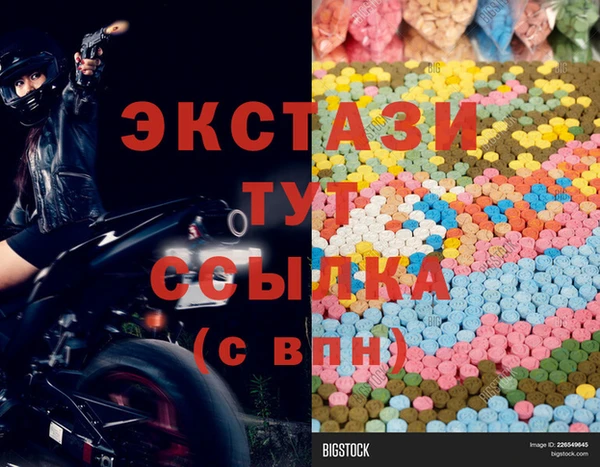 индика Инсар