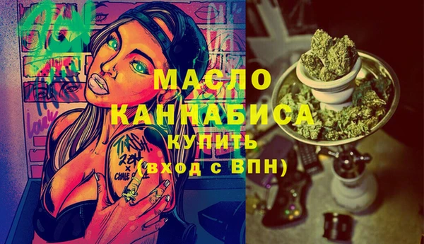 индика Инсар