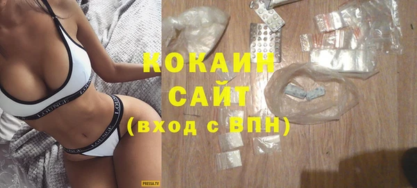 индика Инсар