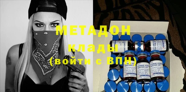 индика Инсар