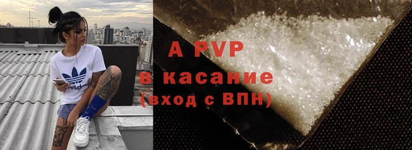 apvp Иннополис