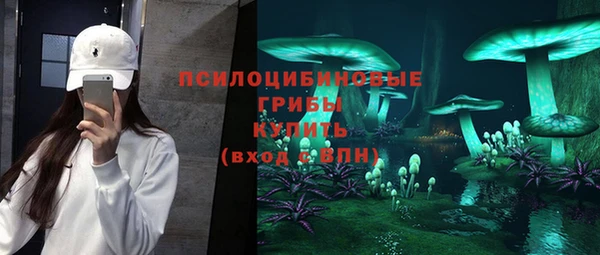 apvp Иннополис