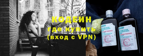 apvp Иннополис