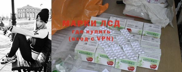 индика Инсар