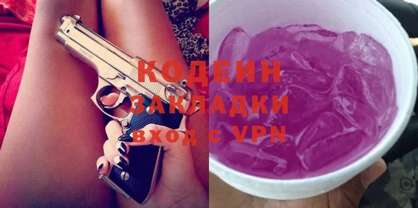 индика Инсар