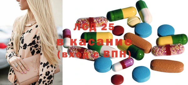 индика Инсар