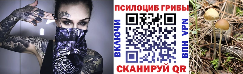 Галлюциногенные грибы мухоморы  Купить  Луга 